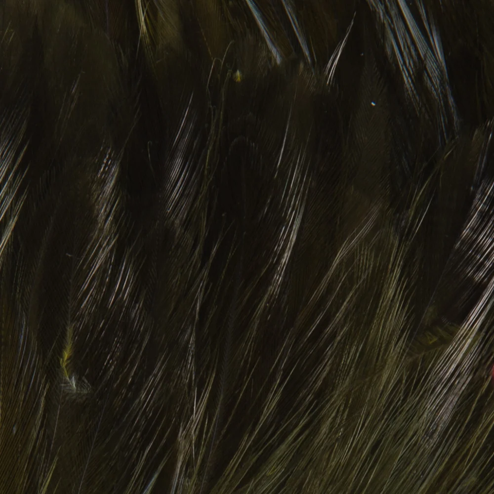 Wapsi Strung Neck Hackle - Image 4
