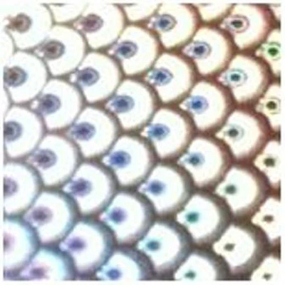 WTP Lure Tape-Large Scales (3 Pack) - Image 7