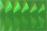 WTP Lure Tape-Squiggles (3 Pack) - Image 13