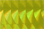 WTP Lure Tape-Squiggles (3 Pack) - Image 14