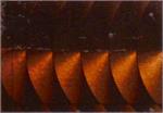 WTP Lure Tape-Squiggles (3 Pack) - Image 4