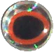 WTP 3D Molded Oblong Eyes - Image 4