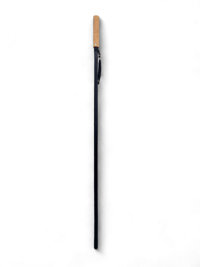 Swift Current Wading Staff