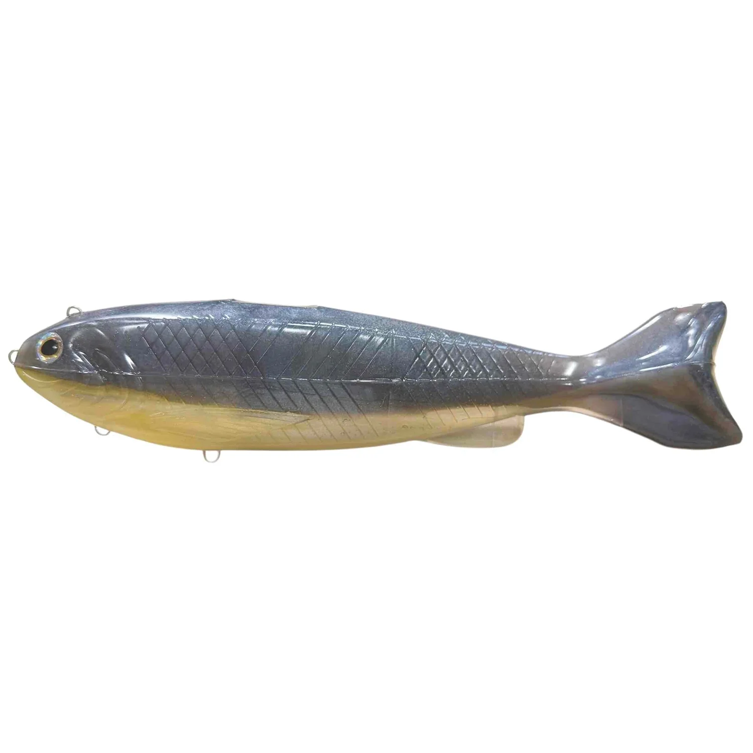 YG.Labo Dorvus 250 - Image 2