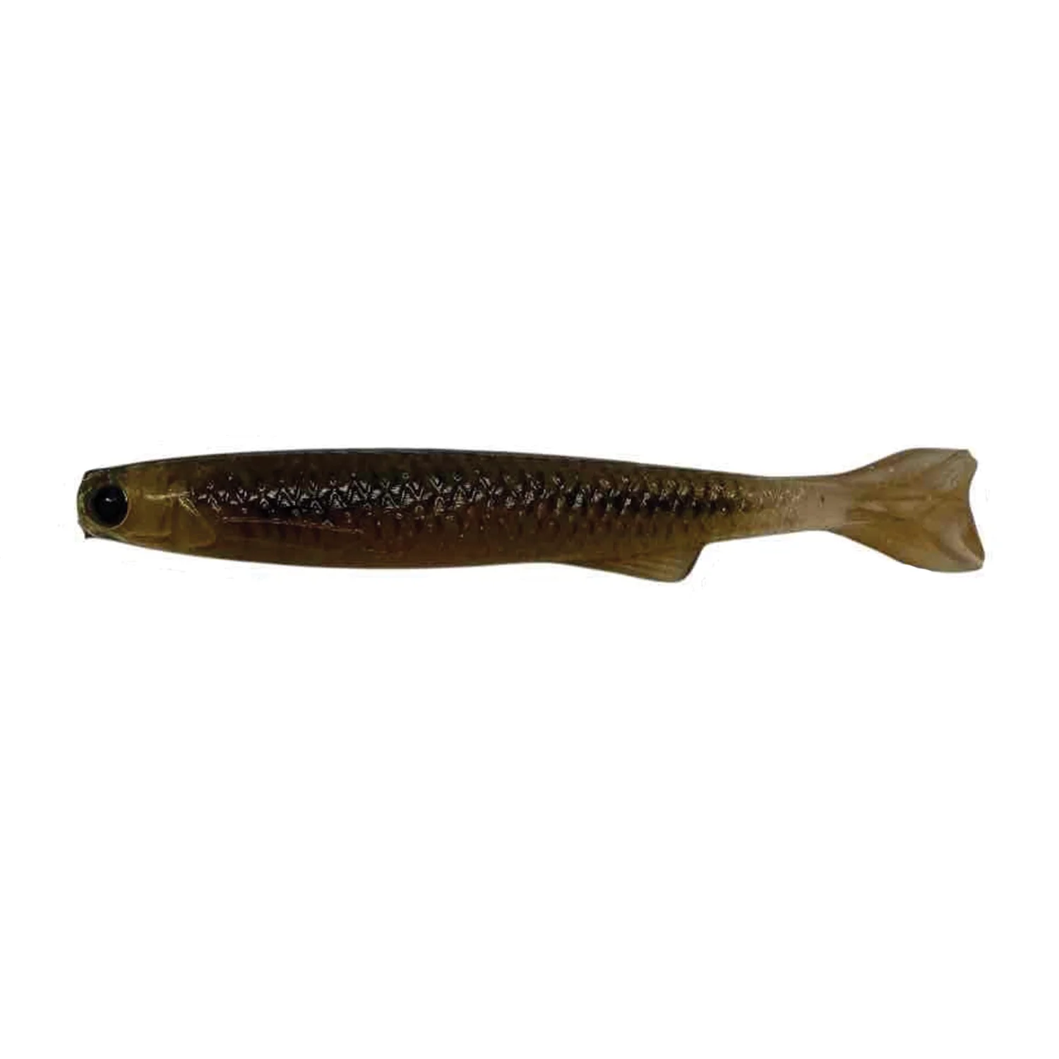 YG.Labo Micro Dorvus