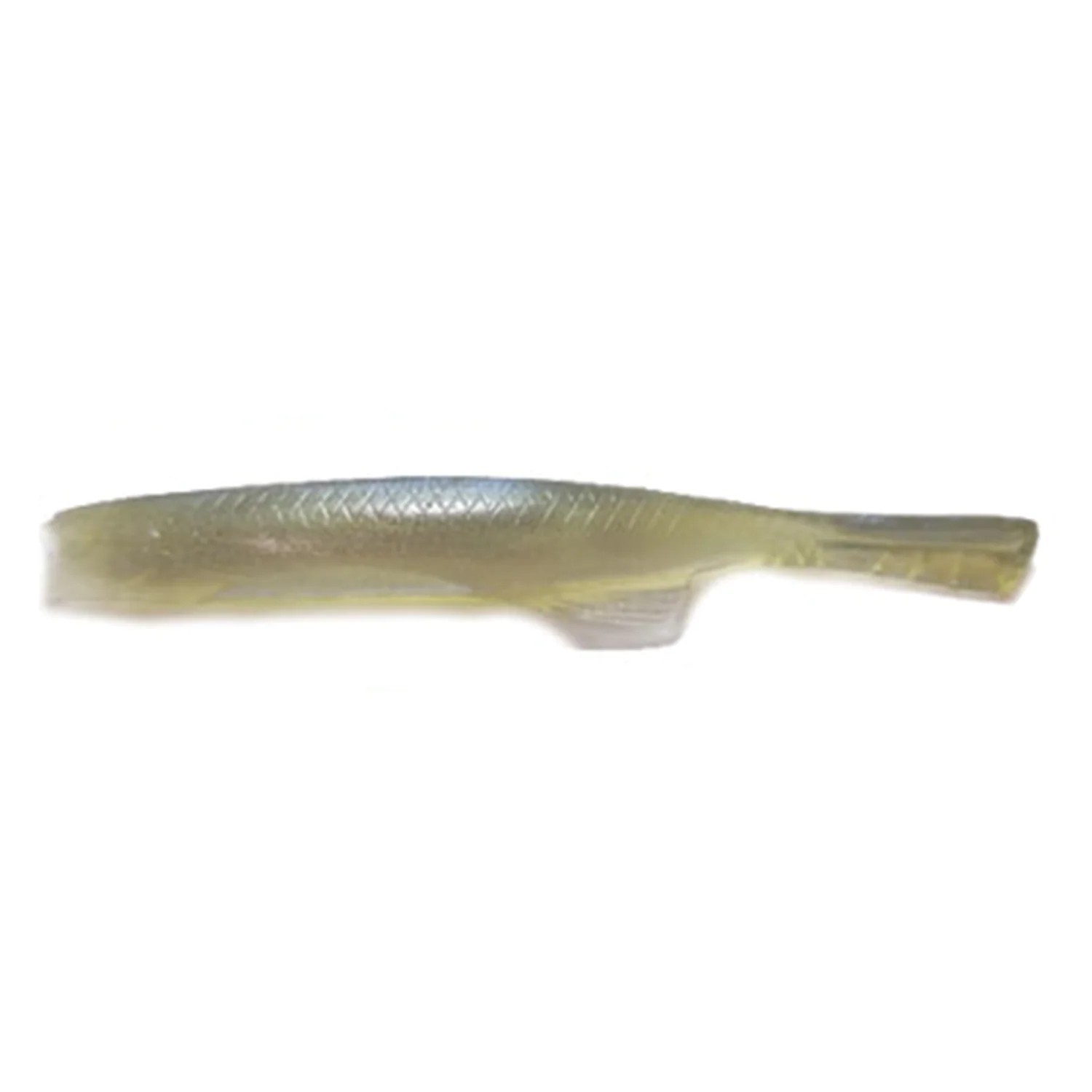 YG.Labo Witch Minnow