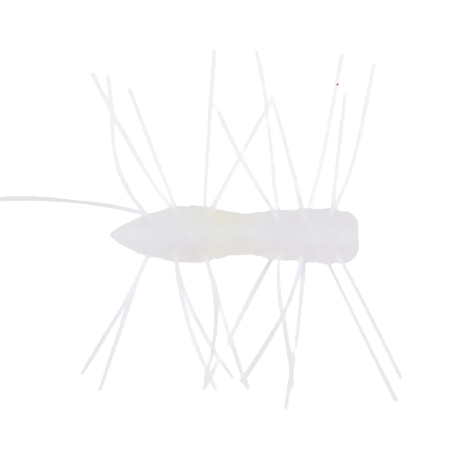 Z-Man Fuzzy Bugz - Image 2