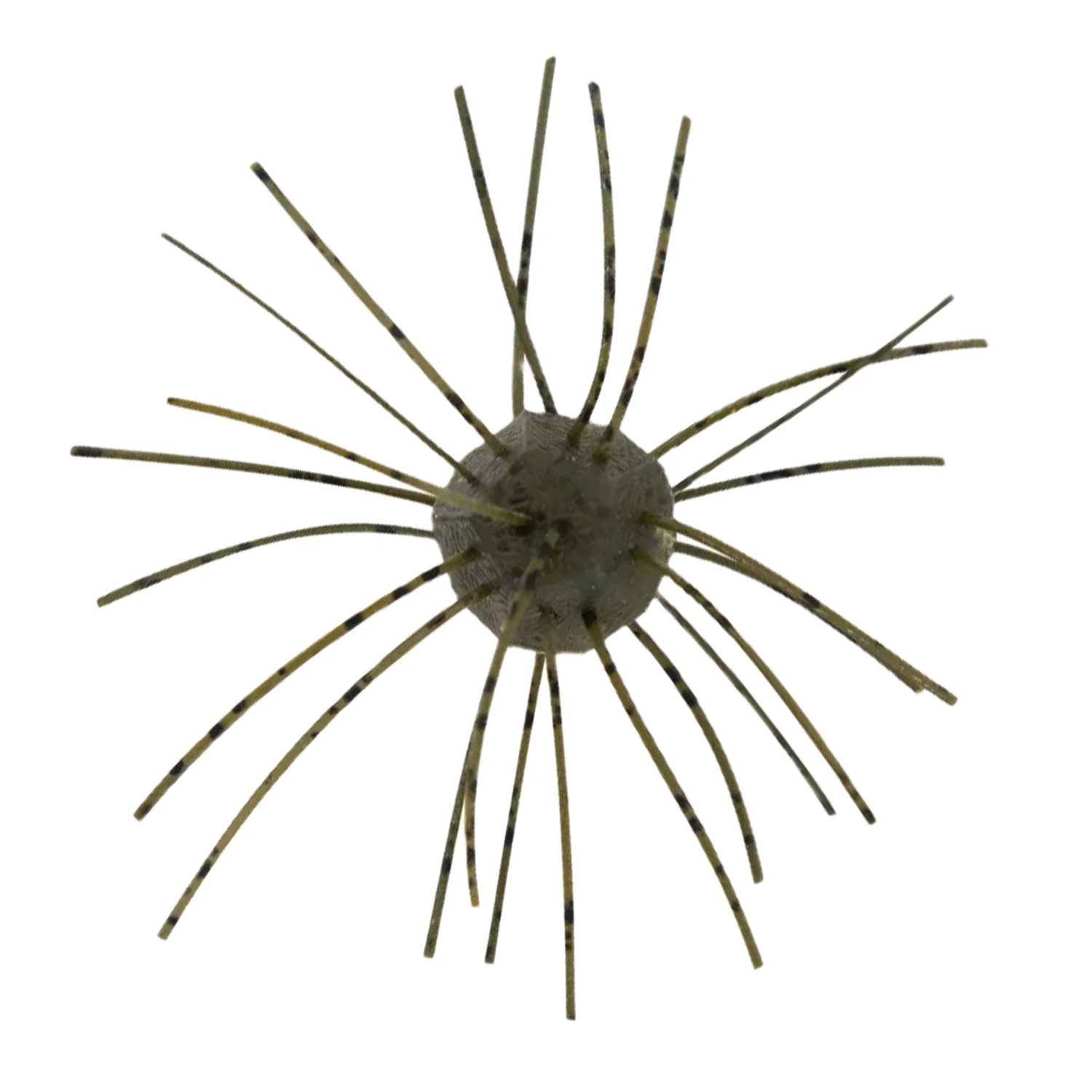 Z-Man Fuzzy Nuggetz - Image 3